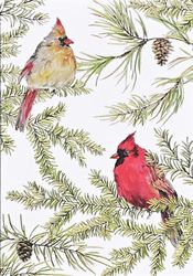 Cardinals in Evergreen Small Boxed Holiday Cards (20 cards, 21 self-sealing envelopes)