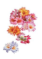 Bristol Novelty BA396 Multicolor Flower Hair Clip, Womens, One Size