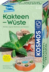 Kakteen-Wüste: Experimentierkasten