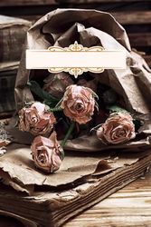 Vintage Lined Notebook & Journal: Capture Your Thoughts, Dreams, and Stories