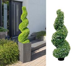 Potted plant, Boxwood, Resin, green, PU 1, H. 150 cm, D. 40 cm