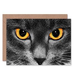 Wee Blue Coo CAT EYES PHOTOGRAPH CLOSE UP BLANK GREETINGS BIRTHDAY CARD ART