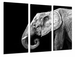 MULTI Houten Afdrukken Art Print Box Ingelijste Beeld Wandopknoping - Olifant Wit en Zwart, Dieren Wilds, Natuur, (Totale Grootte: 38,2" x 24,4"), Ingelijst En Klaar om op te hangen - ref. 26855
