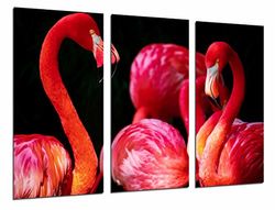 Fotografering Djur Flamingo Rosa, Röd, Vilda djur Total storlek: 97 x 62 cm XXL