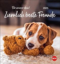 Ziemlich beste Freunde Postkartenkalender 2025 - Für immer dein: Postkarten-Fotokalender mit Hunden und ihren Lieblingsstofftieren. Kleiner Kalender voll süßer Bilder und lustiger Sprüche.