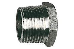 RIEGLER 111860-261.07-ES låshuvud, sexkant, G 1 1/4, SW 46, rostfritt stål 1.4408, 1 st.