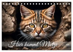 Hier kommt Mietzi (Tischkalender 2026 DIN A5 quer), CALVENDO Monatskalender: Ein Kalender mit frechen Katzen, jeden Monat neu!