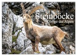 Steinböcke - Majestätische Tiere der Alpen (Wandkalender 2024 DIN A3 quer), CALVENDO Monatskalender: Steinböcke in ihrem natürlich Umfeld