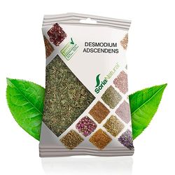 Desmodium Asdcendes