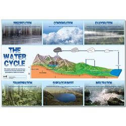 Wildgoose Education WG4376 waterfietsposter, 100 cm x 70 cm