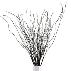 Ruidazon 10 Ramas de Sauce Rizado de 30.7 Pulgadas, Ramas de Flores Artificiales, Ramas de árbol Flexibles secas para Manualidades, hogar, habitación, Boda, jarrón, jardín, decoración de Granja