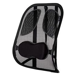 Fellowes Professional Series Support dorsal ergonomique 8029901 Graphite (Noir)