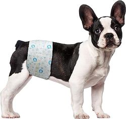 ScratchMe Disposable Male Diaper Super Absorbent and Leak Proof Excitable Urination or Incontinence 40 Count Small White