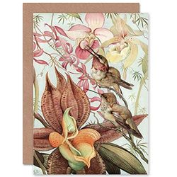 Wee Blue Coo CARD GREETING PAINTING DETMOLD ORCHIDS BIRDS NATURE STUDIES