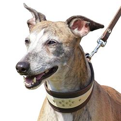 Dingo miękka skórzana obroża dla ras psów Whippet i Gun zaprojektowana ręcznie 12403