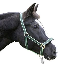 KERBL Exclusif Licol pour Cheval Vert Taille 2