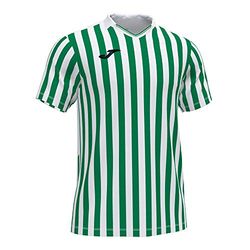 Joma Homme 101873.204.s Haut du corps, Blanc-vert, S EU