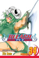 Bleach, Vol. 34: Volume 34