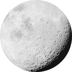 Komar D1-020 Dot, selbstblebende Vlies Fototapete Self-Adhesive and Round Photo Wallpaper, Black, White, Größe: 125 x 125 cm