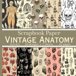 Vintage Anatomy Scrapbook Paper: 20 Double Sided Patterned Sheets, Decorative Craft Paper Pad Supplies for Scrapbooking