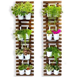 ShopLaLa Soporte de Pared para Plantas - Macetas Colgantes para Interiores y Exteriores