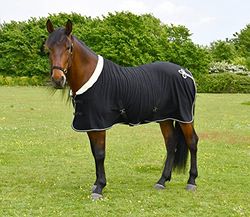 Rhinegold Show Fleece - 5/9 - ZWART