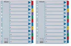 Esselte Índices Numéricos de Cartón Mylar, Tamaño A4, Tipo 1-12, Multicolor, 100162 (Paquete de 2)