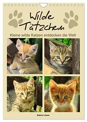 Wilde Tätzchen, kleine wilde Katzen entdecken die Welt (Wandkalender 2025 DIN A4 hoch), CALVENDO Monatskalender: Bezaubernde Katzenkinder