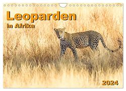 Leoparden in Afrika (Wandkalender 2024 DIN A4 quer), CALVENDO Monatskalender: Eindrucksvolle Leoparden-Bilder aus Ostafrika