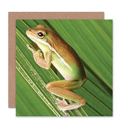 Wee Blue Coo CARD GREETING BIRTHDAY LITTLE GREEN FROG GIFT