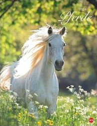 Heye in Athesia Kalenderverlag GmbH Pferde Classics Posterkalender 2024