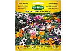SOBRE SEMILLAS MEZCLA FLORES ENANAS ANUALES 300593BOLSH AGREEN