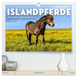 Islandpferde - Von ihrer schönsten Seite (hochwertiger Premium Wandkalender 2025 DIN A2 quer), Kunstdruck in Hochglanz: Pure Eleganz in wilder Natur.