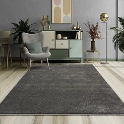 Mia´s Teppiche Emely Tapis de Salon Moderne à Poils Courts (17 mm)