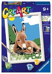 Ravensburger - Creart Serie E Asinello | Kit Pittura Bambini | Dipingere Con I Numeri Include Tutto Il Necessario | Giochi Bambini 7 Anni O Più | Creart 7 Anni