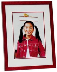 Deknudt Frames S292S4 20x25 Fotolijst rood hout