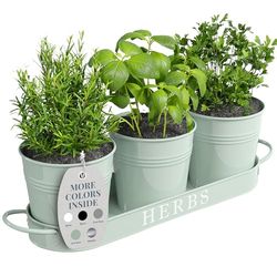 Barnyard Designs örtkruka planterare set med bricka för inomhusträdgård eller utomhusbruk, mjuk mint metall suckulent krukväxter, (set med 3, 11 x 10 cm planterare på 32 x 10 cm bricka)