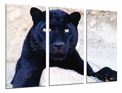 Quadro fotográfico pantera na rocha, animal, felino, tamanho total: 97 x 62 cm XXL