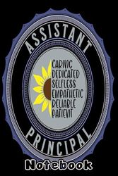 Assistant Principal Notebook: Blank lined ruled journal to write in 6x9"