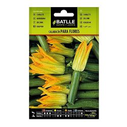 Semillas Batlle Calabacín para Flores