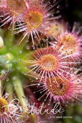 Gratitude - A 52 Week Journey: Drosera x Sidjamesii