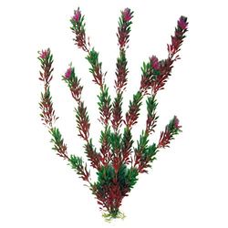 WAVE Flora Plante Classique pour Aquariophilie Bicolore Taille S