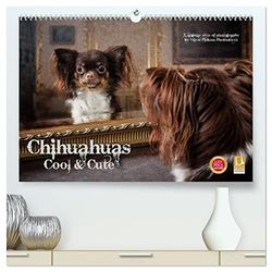 Chihuahuas - Cool and Cute (hochwertiger Premium Wandkalender 2025 DIN A2 quer), Kunstdruck in Hochglanz: Wer ungewöhnliche Hundebilder liebt ist hier richtig.