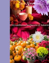 Chrysanthemums Queens of Autumn Coloring book for kids and adults: chrysanthemum book