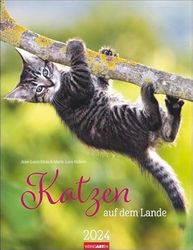 Katzen auf dem Lande Kalender 2024