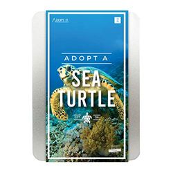 Gift Republic Adopt It Coffret Cadeau Adopte Une Tortue de mer Français Non Garanti