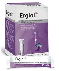 Ergial 20 Sobre Bebibles 15Ml
