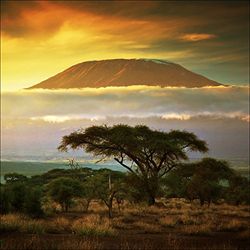 Pro-Art g1672a - Lienzo en impresión giclée (30 x 30 cm), diseño de Paisaje Africano II, Multicolor, 30 x 30 cm