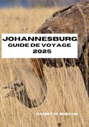 Johannesburg Guide De Voyage 2025