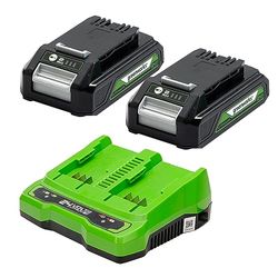 Greenworks Baterías 24V 2Ah y Cargador Doble - Dos Baterías Originales de Iones de Litio y Cargador Doble, Apto para Herramientas Eléctricas y de Jardinería 24V - GSK24B2X